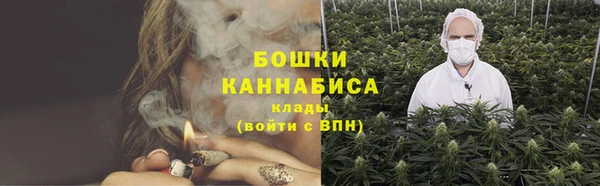 молекула духа Горняк