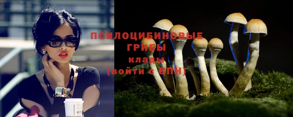 Альфа ПВП Горно-Алтайск
