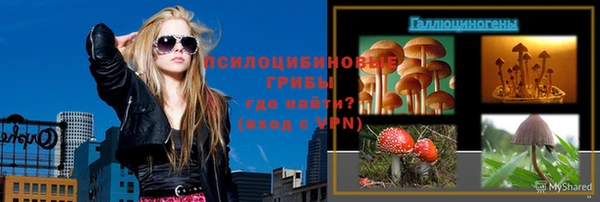 молекула духа Горняк