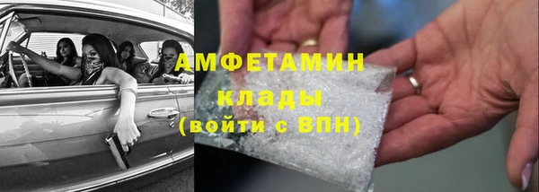 прущие грибы Горнозаводск