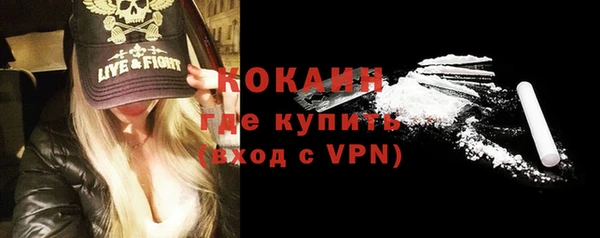 прущие грибы Горнозаводск