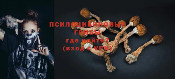 Альфа ПВП Горно-Алтайск