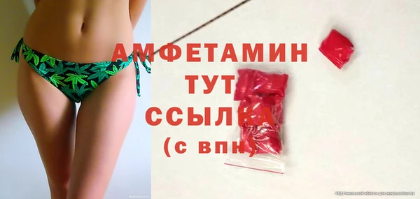 молекула духа Горняк