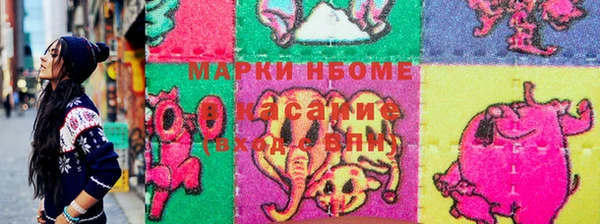 прущие грибы Горнозаводск