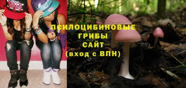 прущие грибы Горнозаводск