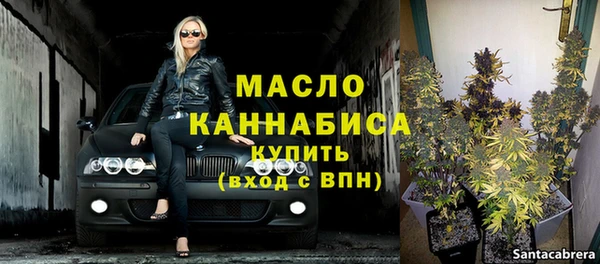 молекула духа Горняк