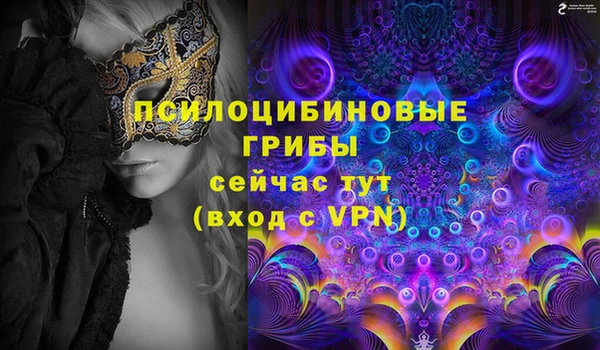Альфа ПВП Горно-Алтайск