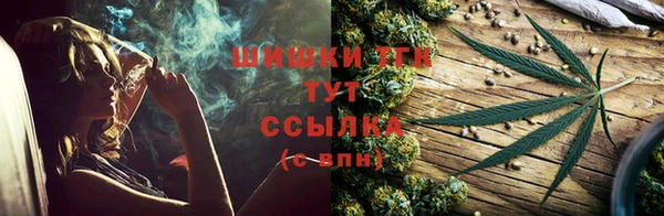 молекула духа Горняк