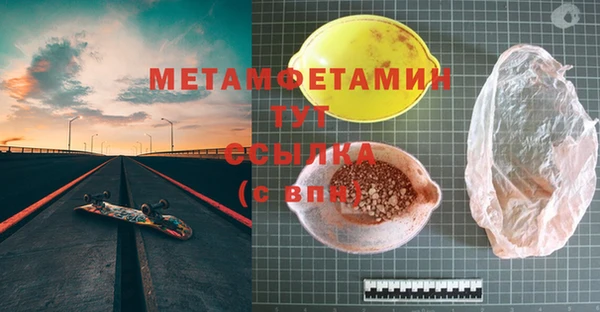 прущие грибы Горнозаводск