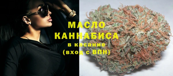 молекула духа Горняк