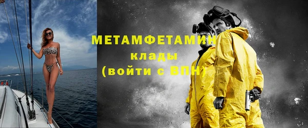 прущие грибы Горнозаводск