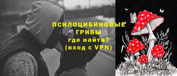 молекула духа Горняк