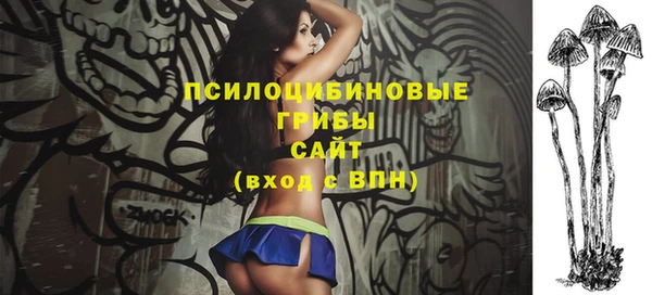 Альфа ПВП Горно-Алтайск
