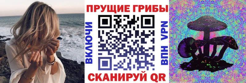 Псилоцибиновые грибы мухоморы  Купить  Сортавала 